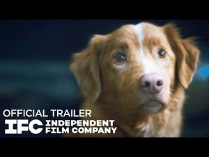 Official Trailer – Good Boy
