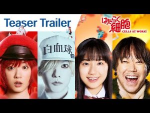 Teaser Trailer [English Subtitles] – Cells at Work!